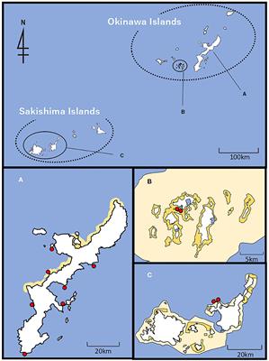 Higher Genetic Diversity of the Common Sea Cucumber Holothuria (Halodeima) atra in Marine Protected Areas of the Central and Southern Ryukyu Islands